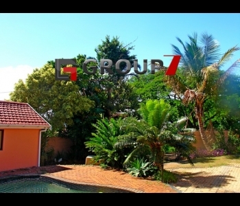 Landscaped garden
