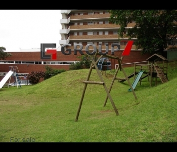Kiddies jungle gym